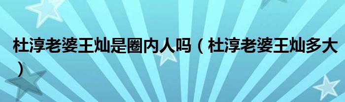 杜淳老婆王灿是圈内人吗(杜淳老婆王灿多大)