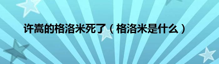 许嵩的格洛米死了(格洛米是什么)