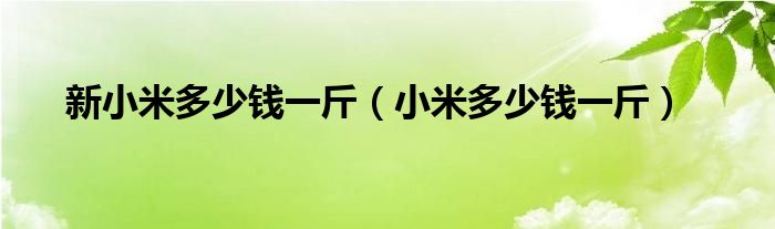 新小米多少钱一斤(小米多少钱一斤)
