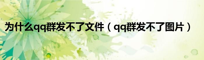 为什么qq群发不了文件(qq群发不了图片)