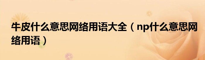 牛皮什么意思网络用语大全(np什么意思网络用语)