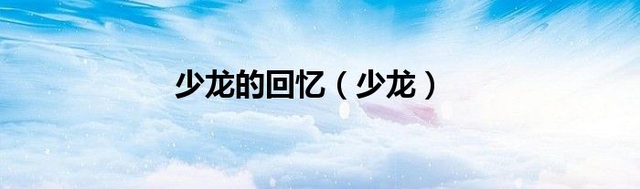 少龙的回忆（少龙）