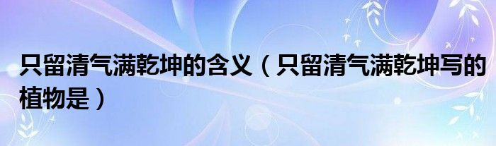只留清气满乾坤的含义(只留清气满乾坤写的植物是)