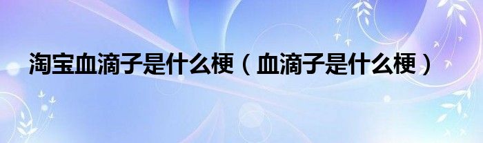 淘宝血滴子是什么梗(血滴子是什么梗)