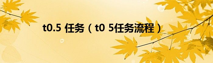 t0.5 任务(t0 5任务流程)