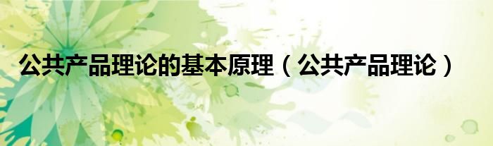 公共产品理论的基本原理(公共产品理论)