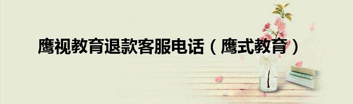 鹰视教育退款客服电话(鹰式教育)