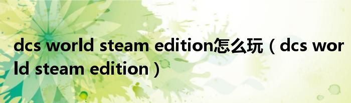 dcs world steam edition怎么玩（dcs world steam edition）