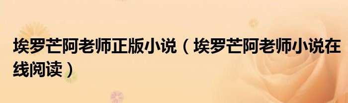 埃罗芒阿老师正版小说(埃罗芒阿老师小说在线阅读)