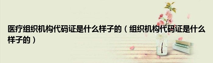 医疗组织机构代码证是什么样子的(组织机构代码证是什么样子的)