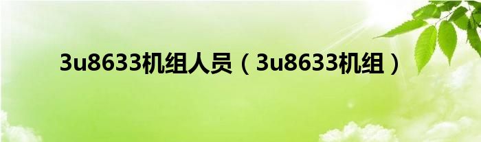 3u8633机组人员（3u8633机组）