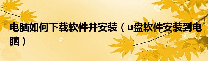 电脑如何下载软件并安装(u盘软件安装到电脑)