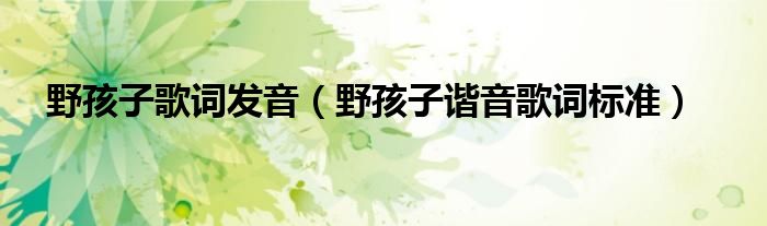 野孩子歌词发音(野孩子谐音歌词标准)
