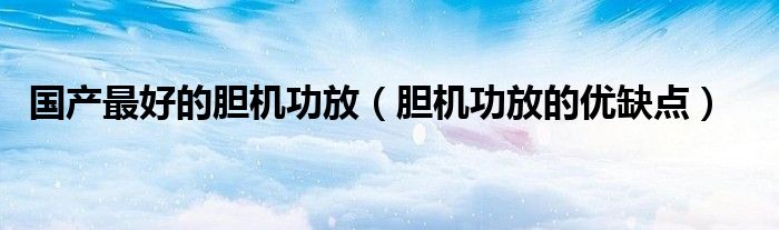 国产最好的胆机功放(胆机功放的优缺点)