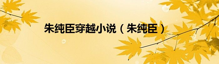 朱纯臣穿越小说（朱纯臣）