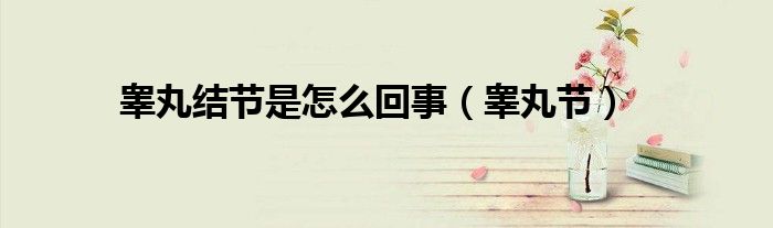 睾丸结节是怎么回事(睾丸节)