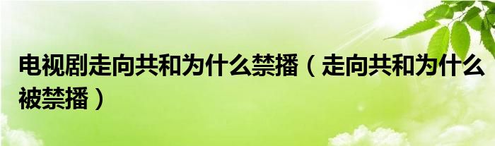 电视剧走向共和为什么禁播(走向共和为什么被禁播)