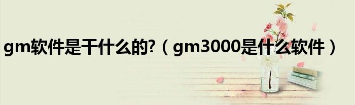 gm软件是干什么的?(gm3000是什么软件)