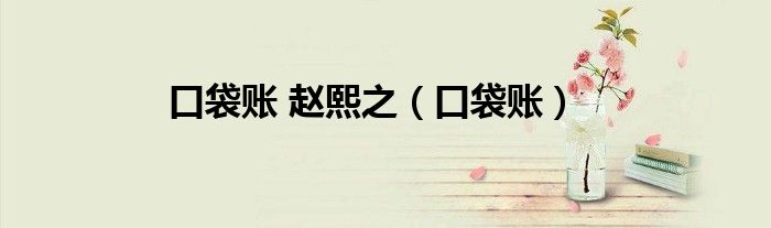 口袋账 赵熙之（口袋账）