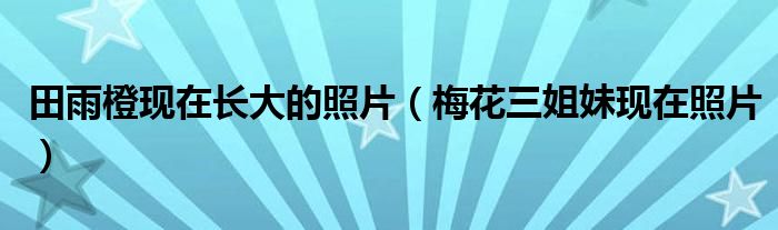 田雨橙现在长大的照片(梅花三姐妹现在照片)