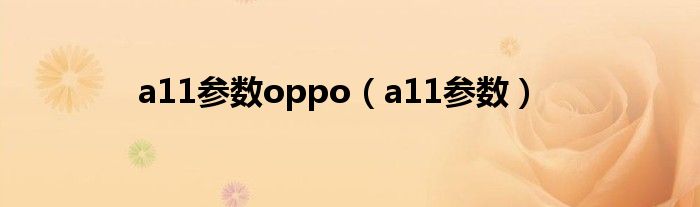 a11参数oppo(a11参数)