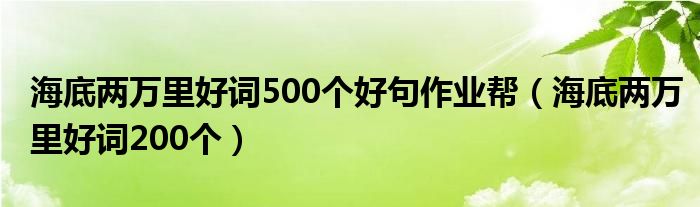 海底两万里好词500个好句作业帮(海底两万里好词200个)