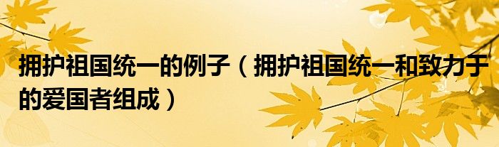 拥护祖国统一的例子(拥护祖国统一和致力于的爱国者组成)