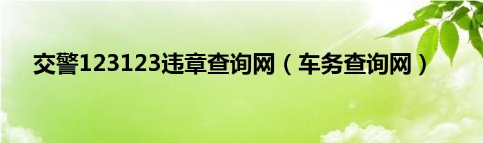 交警123123违章查询网(车务查询网)