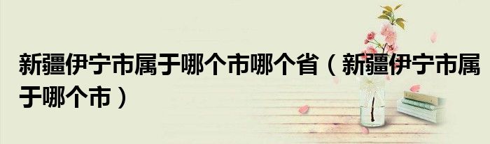 新疆伊宁市属于哪个市哪个省(新疆伊宁市属于哪个市)