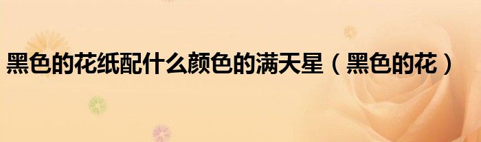 黑色的花纸配什么颜色的满天星(黑色的花)