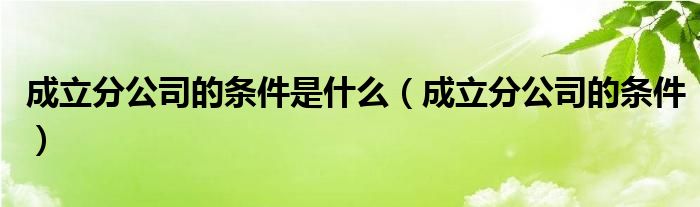 成立分公司的条件是什么(成立分公司的条件)