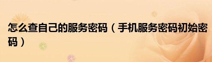 怎么查自己的服务密码(手机服务密码初始密码)