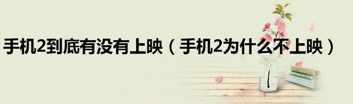 手机2到底有没有上映(手机2为什么不上映)
