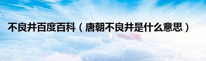 不良井百度百科（唐朝不良井是什么意思）