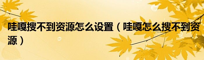 哇嘎搜不到资源怎么设置(哇嘎怎么搜不到资源)
