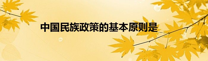 中国民族政策的基本原则是