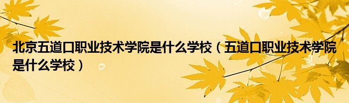 北京五道口职业技术学院是什么学校(五道口职业技术学院是什么学校)