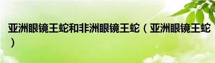 亚洲眼镜王蛇和非洲眼镜王蛇(亚洲眼镜王蛇)