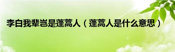 李白我辈岂是蓬蒿人(蓬蒿人是什么意思)