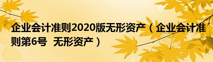 企业会计准则2020版无形资产(企业会计准则第6号 无形资产)