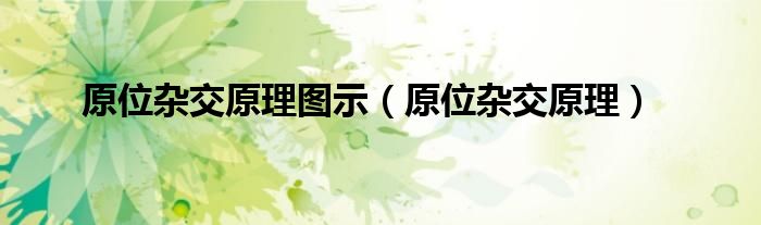 原位杂交原理图示(原位杂交原理)