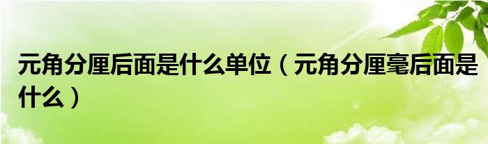元角分厘后面是什么单位(元角分厘毫后面是什么)