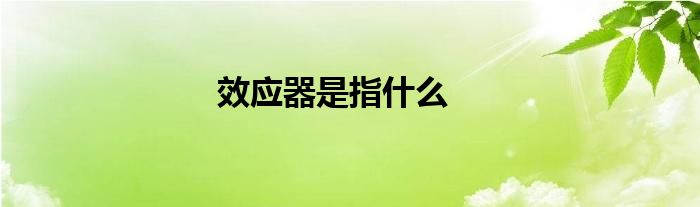 效应器是指什么
