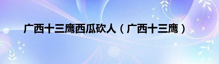 广西十三鹰西瓜砍人(广西十三鹰)