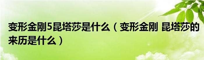 变形金刚5昆塔莎是什么（变形金刚 昆塔莎的来历是什么）