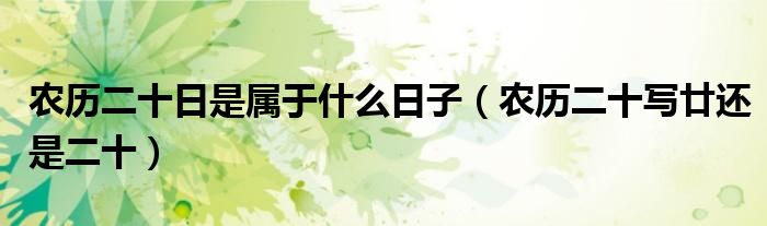 农历二十日是属于什么日子(农历二十写廿还是二十)