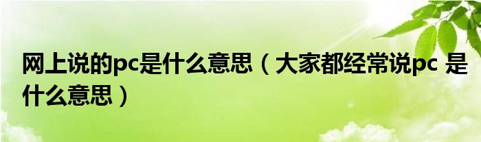 网上说的pc是什么意思(大家都经常说pc 是什么意思)