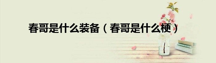 春哥是什么装备(春哥是什么梗)