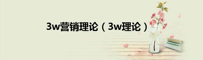 3w营销理论(3w理论)