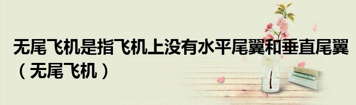 无尾飞机是指飞机上没有水平尾翼和垂直尾翼(无尾飞机)